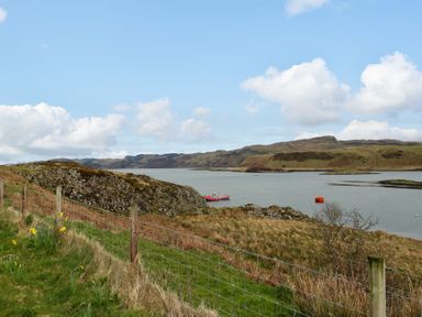 A grassy landscape with a wire fence daffodils a body of water a red boat and hills in the background at Scarba Cullipool Isle Of Luing