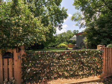 A garden with a wooden gate and fence at The Highwood Hut near Liskeard