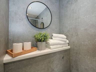 A bathroom shelf with two toilet paper rolls on a tray a potted plant and folded white towels at Caban in Dothan near Gwalchmai