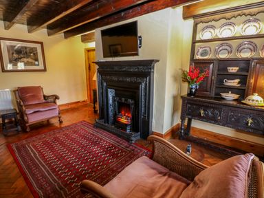 A living room with a red patterned rug a black fireplace two armchairs a wooden cabinet with plates and a vase of red flowers at Pagecroft Cottage in Haydon Bridge