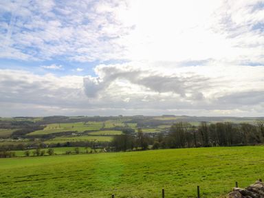A green field with trees and hills under a cloudy sky at Pagecroft Cottage in Haydon Bridge