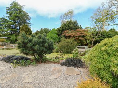 A garden with trees shrubs a stone path and a pond at Pagecroft Cottage in Haydon Bridge