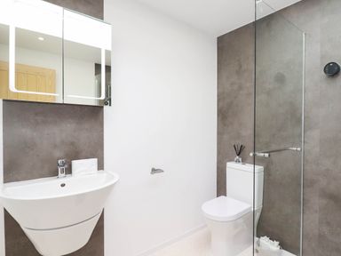 A bathroom with a wash basin and toilet at Tiddlywink near Indian Queens