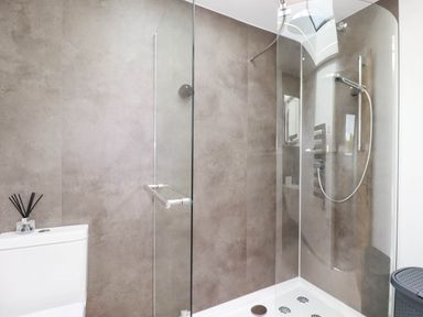 A bathroom featuring a shower and a toilet at Tiddlywink near Indian Queens