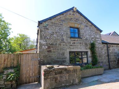 Exterior of a stone building with two windows a wooden gate and plants at Cove Cottage in Llangrannog