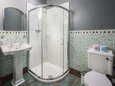 A bathroom with a shower, sink, and toilet at Cove Cottage Llangrannog