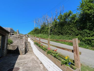 An outdoor area with concrete steps a wooden fence flower planters and a small gravel road with greenery and trees