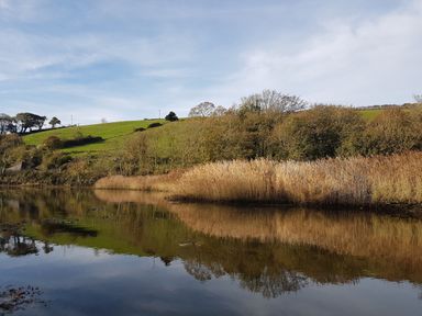 A river with reeds and trees on the bank and a grassy hill in the background at Joymead in Malborough