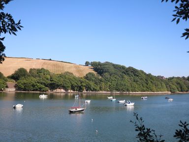 A river with boats and trees on the shore at Joymead in Malborough