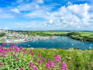 A coastal town with boats in the water and flowers in the foreground at Joymead in Malborough
