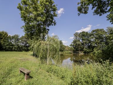 A pond surrounded by trees and grass with a bench at The Lodge