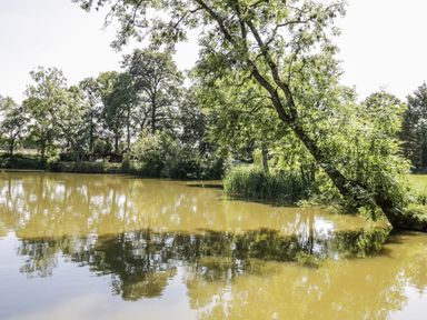 A pond with a tree and a cabin in the background near the water at The Lodge in 
