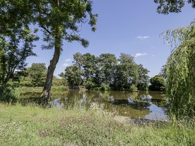 A pond surrounded by trees and grass at The Lodge in 