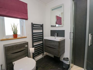 A bathroom with a toilet, sink with cabinet, mirror, window with a plant, towel radiator and a shower at Coniston View Lodge in Warton near Carnforth