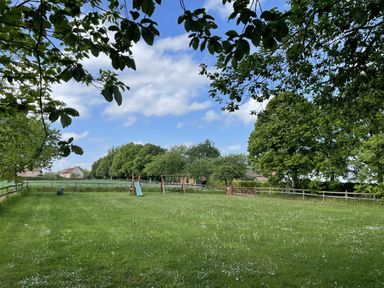 A garden with grass and trees at Beechwood in Wood Norton near Foulsham