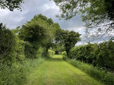 A path surrounded by trees and bushes at Beechwood in Wood Norton near Foulsham