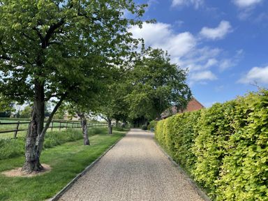 A pathway lined with trees and hedges at Beechwood in Wood Norton near Foulsham