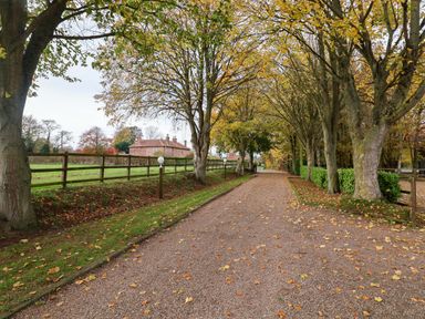 A gravel pathway surrounded by trees leading to a house at Beechwood in Wood Norton