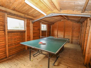 An indoor wooden room with a green table tennis table and paddles at Willow Wood Norton near Foulsham