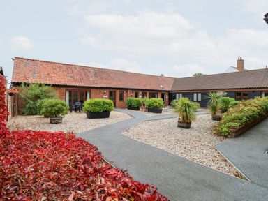 An outdoor area with pathways and plants at Willow in Wood Norton near Foulsham