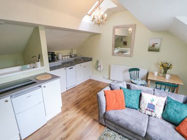 A small kitchen area with white cabinets and appliances next to a living area with a grey sofa and colorful cushions at Cuddfan at Swallow Cottage in Rhydtalog near Coedpoeth