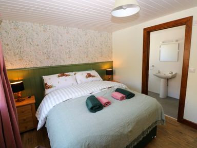 A bedroom with a bed and a sink at Dolcoed in Manordeilo near Llangadog