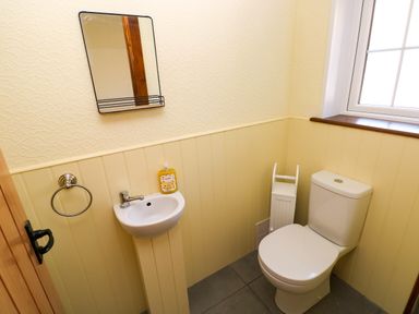 A bathroom with a toilet and washbasin at Dolcoed in Manordeilo near Llangadog