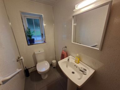 A bathroom with a sink and toilet at Dolcoed in Llandeilo