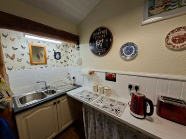 A kitchen with a sink and kettle at Dolcoed in Llandeilo