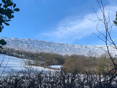 A snowy hillside with bare trees under a blue sky at White Haywood Farmhouse & Barn in Craswall