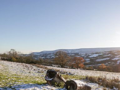 A snowy rural landscape with logs on the ground and leafless trees in the distance at White Haywood Farmhouse & Barn in Craswall