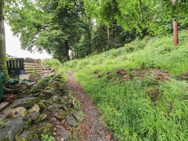 A path surrounded by trees and vegetation at Tryfan Cottage in Nant Gwynant