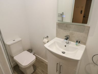 A bathroom with a toilet sink mirror and toiletries at Sycamore in Cowbridge