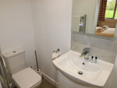 A bathroom with a toilet and sink with toiletries and a mirror reflecting a bedroom at Alder in Cowbridge