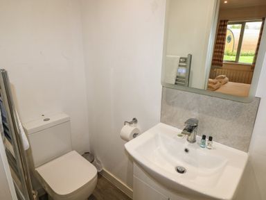 A bathroom with a toilet and a sink with toiletries and a mirror reflecting a bedroom window at Cherry in Cowbridge