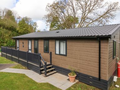 A brown single-story house with black trim and a gray tiled roof surrounded by trees at 16 Manleigh Park in Combe Martin