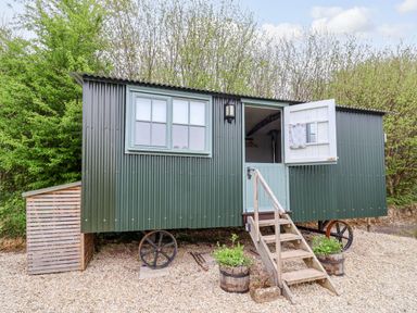 A green corrugated metal shepherd hut with a half open door and stairs in front at Oak Shepherd Hut Monkton Wyld near Charmouth