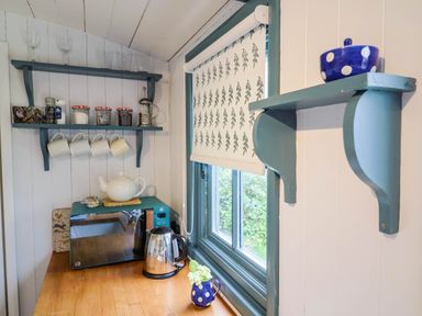 A kitchen corner with shelves holding cups jars and glasses a microwave and kettle on the counter and a window with patterned blind at Oak Shepherd Hut Monkton Wyld near Charmouth