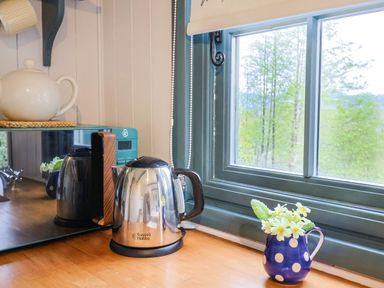 A kitchen counter with a kettle, microwave, teapot, and a small polka dot jug with flowers by a window at Oak Shepherd Hut in Monkton Wyld near Charmouth