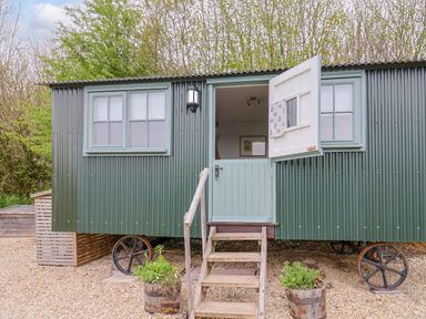An exterior view of a green shepherd hut with open door and wooden steps surrounded by gravel and plants at Oak Shepherd Hut in Monkton Wyld near Charmouth