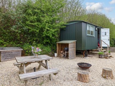 An outdoor area with a green shepherd hut on wheels a wooden picnic table with flowers a fire pit and tree stump seats at Oak Shepherd Hut Monkton Wyld near Charmouth