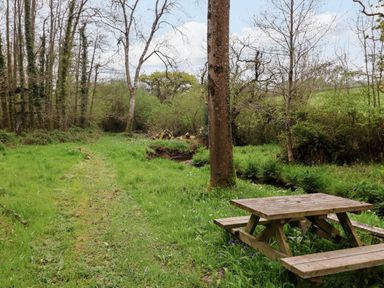A grassy path in a wooded area with a wooden picnic table near a small stream at Oak Shepherd Hut in Monkton Wyld near Charmouth