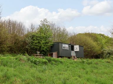 A green shepherd hut with an open door and window on a grassy hillside with a wooden picnic table and trees in the background at Oak Shepherd Hut Monkton Wyld near Charmouth
