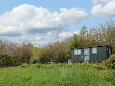 A green hut on a grassy hill with bushes and trees in the background at Oak Shepherd Hut in Monkton Wyld near Charmouth