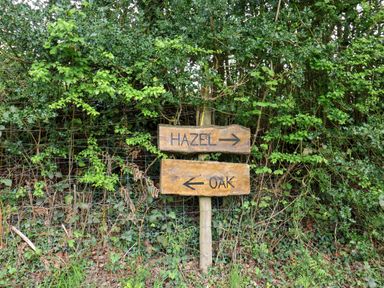 A wooden signpost with arrows pointing to Hazel and Oak in a green leafy natural area