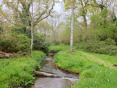 A stream running through a grassy area with trees and a picnic bench at Oak Shepherd Hut Monkton Wyld near Charmouth