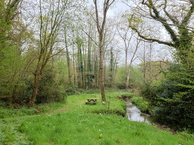 A grassy clearing with a picnic table next to a small stream surrounded by trees at Oak Shepherd Hut Monkton Wyld near Charmouth