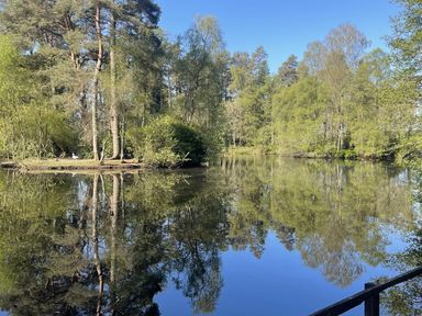 A serene lake surrounded by trees at Woodburn Lodge in Otterburn