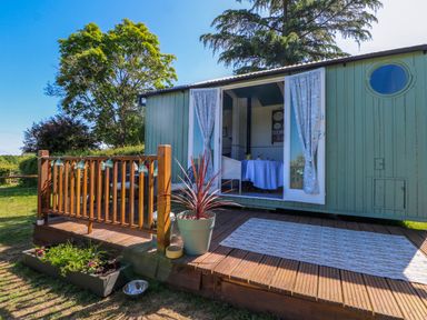 A small green wooden cabin with open double doors and curtains with a wooden deck and potted plant outside at Songbirds in St Michaels Kent