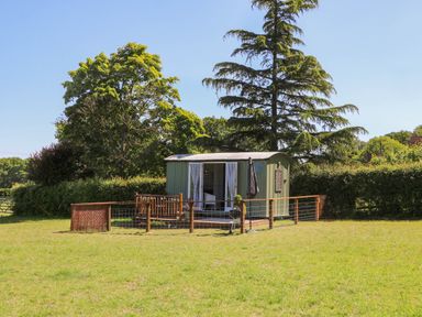 A small green hut with open doors and a fenced porch in a grassy area with trees at Songbirds in St Michaels Kent